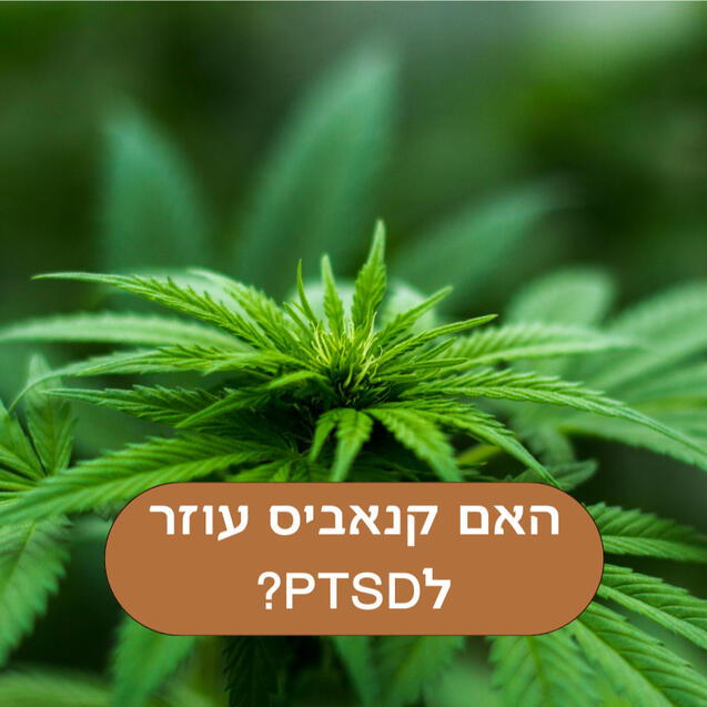 האם קנאביס עוזר לפוסט-טראומה?